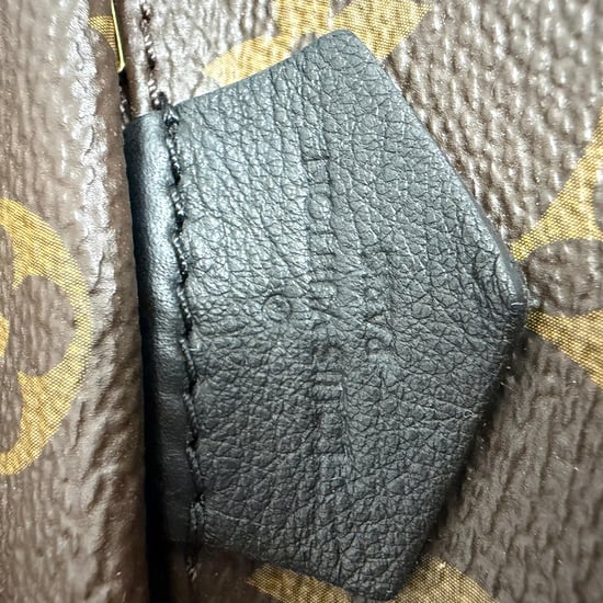 Louis Vuitton Monogram Palm Springs Mini Backpack Bag in Brown Canvas - Image 4