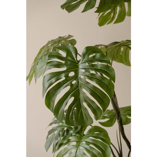 Indore Home Monstera kunstplant van 160 cm als stijlvolle aanvulling in middelgrote - Image 3