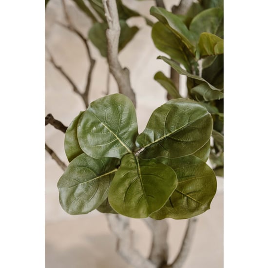 Indore Home Vijg kunstplant van 210 cm voor een natuurlijke en gebalanceerde interieurstijl - Image 3