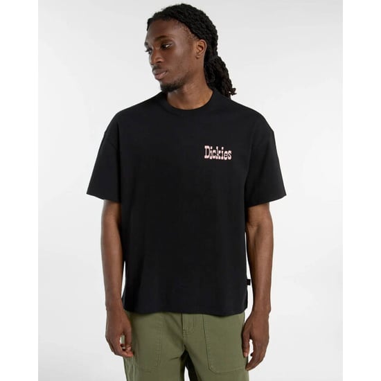 Dickies T-shirt korte mouw dk0a88goblk1 - Image 4