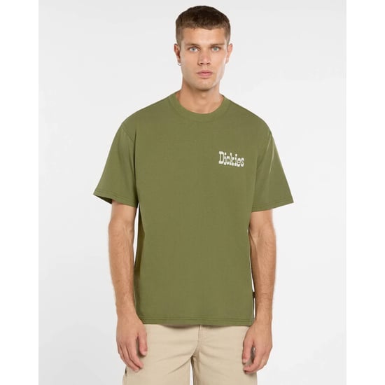 Dickies T-shirt korte mouw dk0a88jvk721 - Image 3