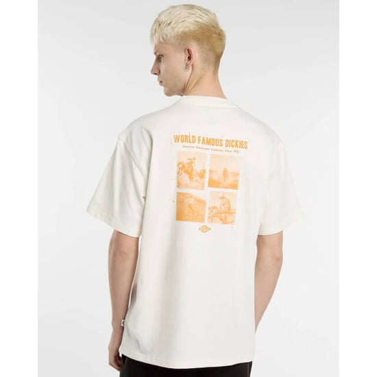 Dickies T-shirt korte mouw dk0a88qoc481 - Image 4