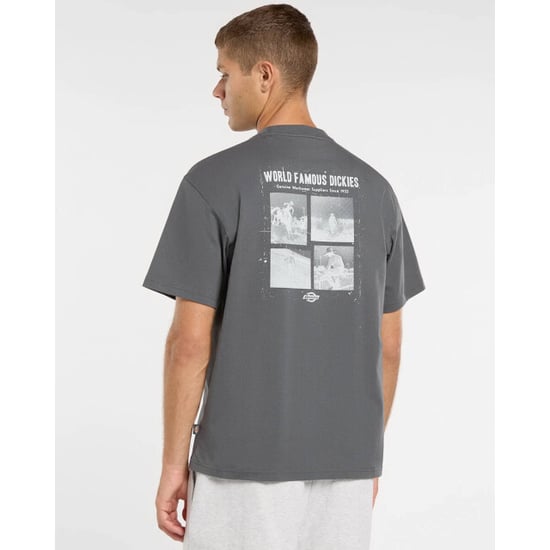 Dickies T-shirt korte mouw dk0a88qoch01 - Image 2