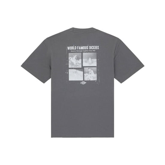 Dickies T-shirt korte mouw dk0a88qoch01 - Image 3