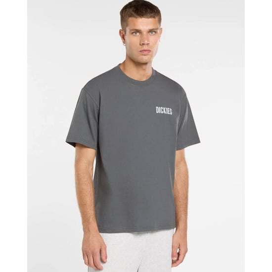 Dickies T-shirt korte mouw dk0a88qoch01 - Image 4