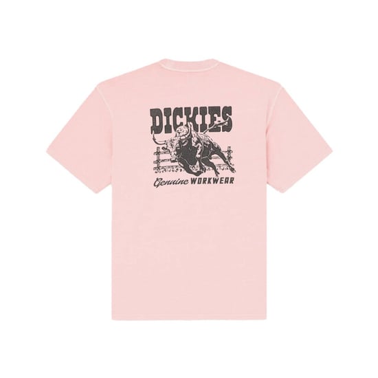 Dickies T-shirt korte mouw dk0a883bl471 - Image 2
