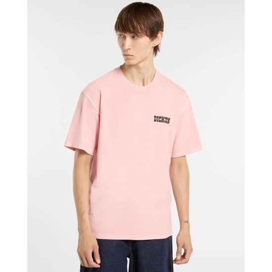 Dickies T-shirt korte mouw dk0a883bl471 - Image 3