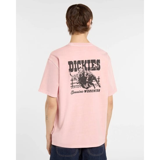 Dickies T-shirt korte mouw dk0a883bl471 - Image 4
