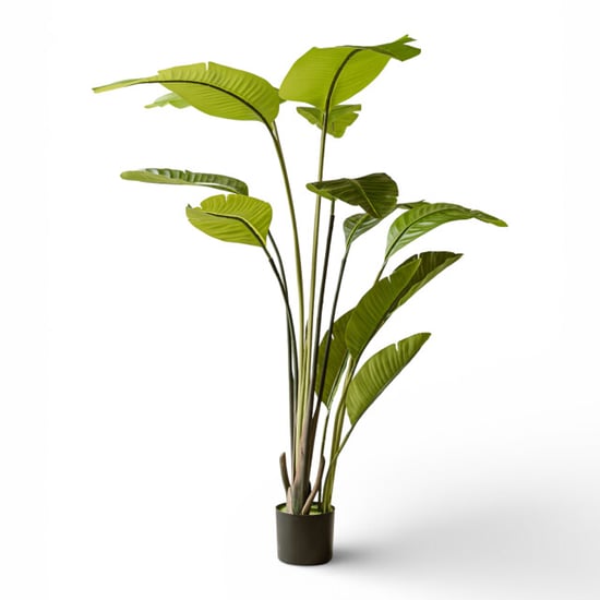 Indore Home Luxe strelitzia kunstplant van 150 cm voor een verfijnde tropische uitstraling - Image 1