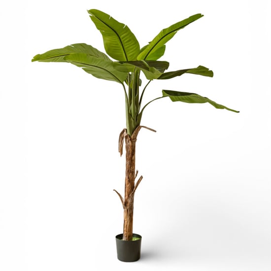 Indore Home Banaan kunstplant van 170 cm als tropische blikvanger in je interieur - Image 1