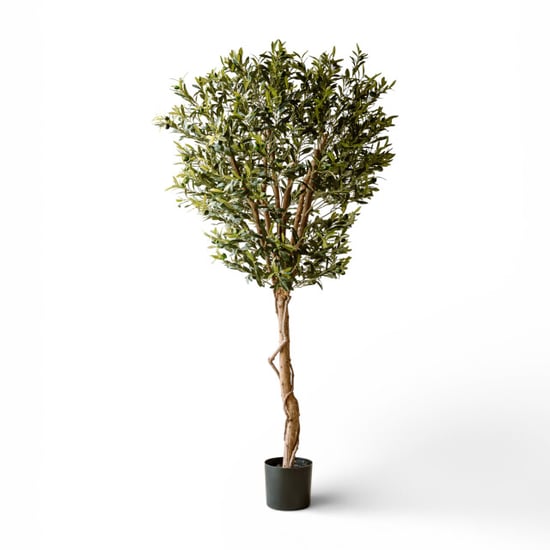 Indore Home Olijfboom kunstplant van 190 cm voor een rustige en mediterrane woonstijl - Image 1