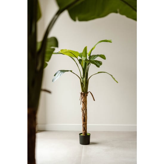 Indore Home Banaan kunstplant van 170 cm als tropische blikvanger in je interieur - Image 2