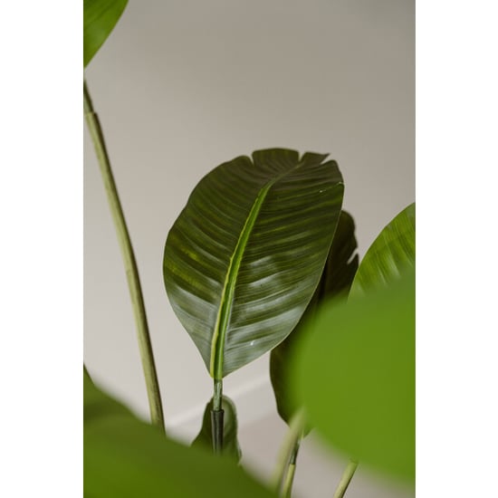 Indore Home Luxe strelitzia kunstplant van 150 cm voor een verfijnde tropische uitstraling - Image 3