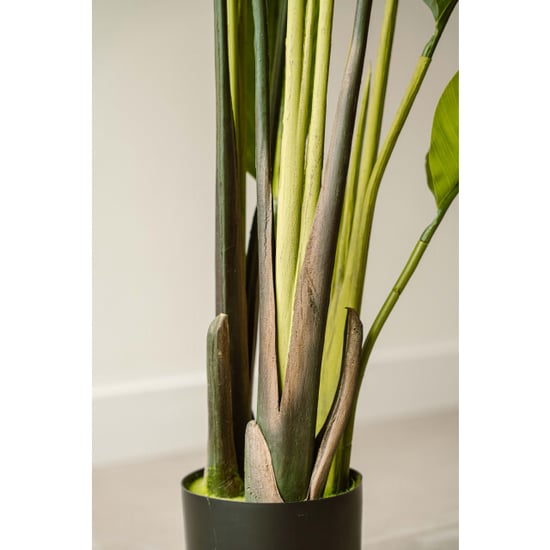 Indore Home Luxe strelitzia kunstplant van 150 cm voor een verfijnde tropische uitstraling - Image 4