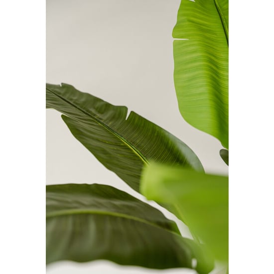 Indore Home Banaan kunstplant van 170 cm als tropische blikvanger in je interieur - Image 4