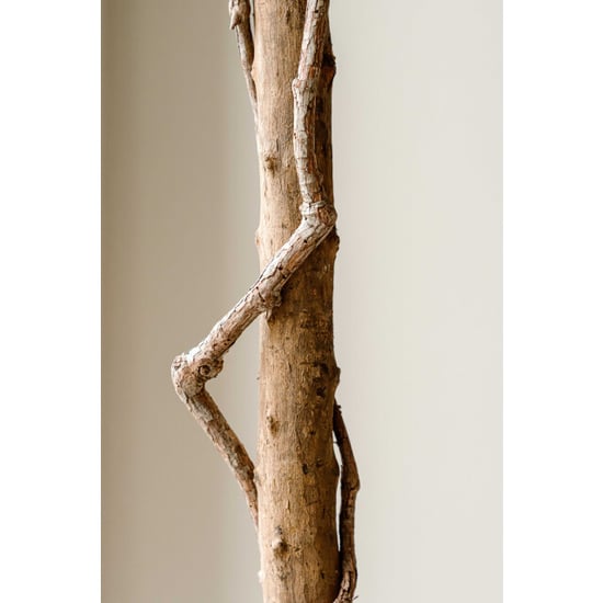 Indore Home Olijfboom kunstplant van 190 cm voor een rustige en mediterrane woonstijl - Image 6