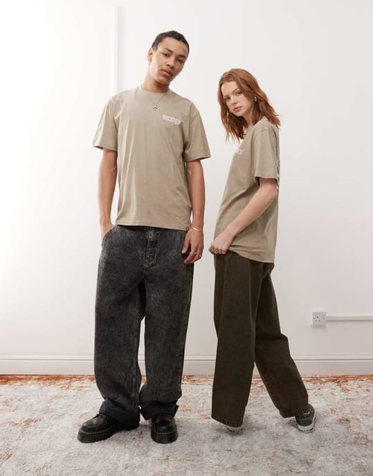 Dickies bricklane graphic back print t-shirt in tan - Image 3