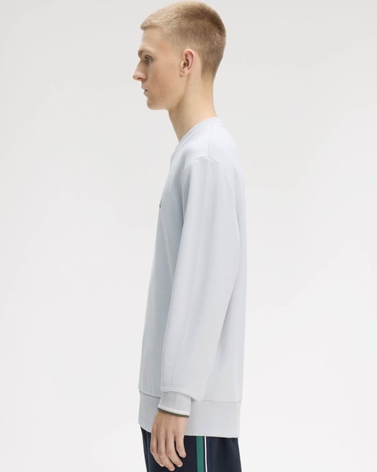 Crew Neck Sweatshirt in Light Grey - Image 5