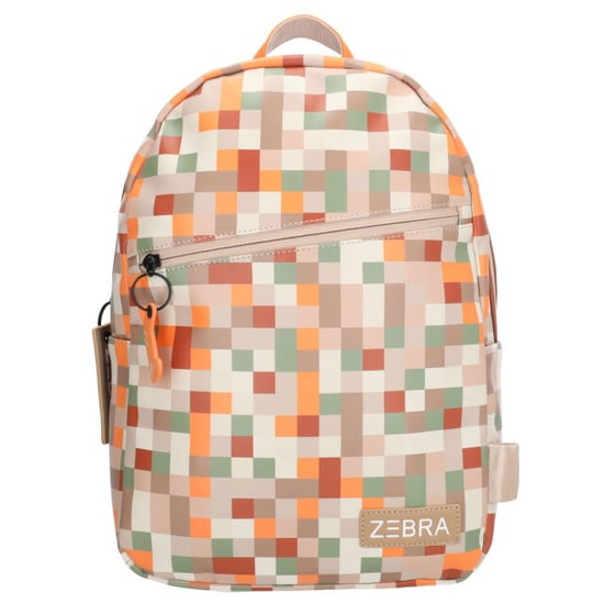 Zebra 25488 - Image 1