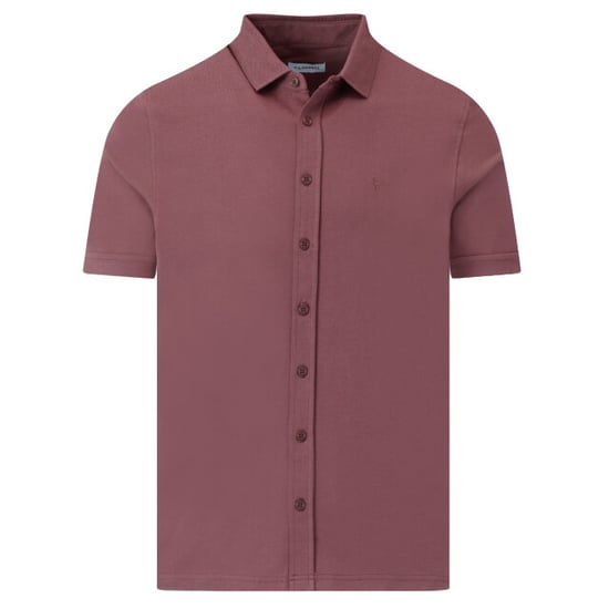 Campbell Polo - Image 3
