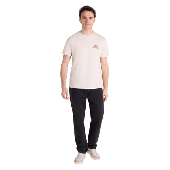 Mountain Warehouse Herrar Sunrise Ryggtryck T-shirt (Mörkbeige) - Image 3