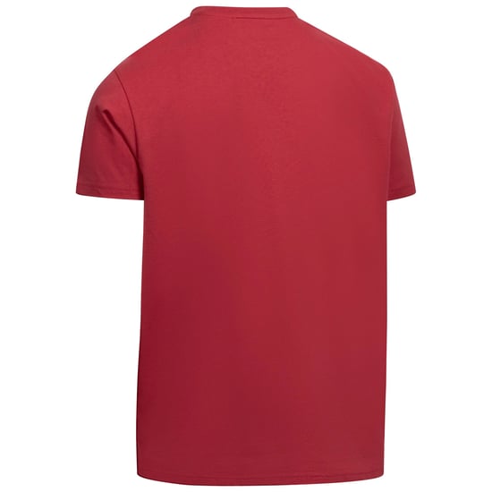 Trespass Mens Manny T-Shirt (Claret) - Image 2