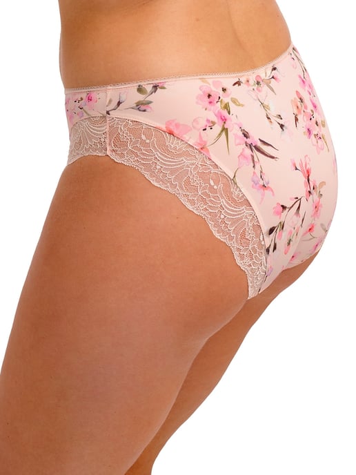 Lucia Brief - Image 3