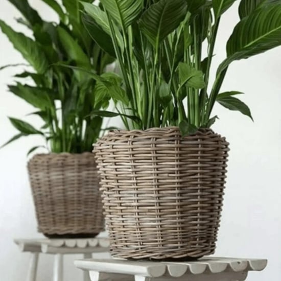WDMT Rotan plantenmand – Ø 39 x 36 cm – waterdichte binnenpot – grijs - Image 3