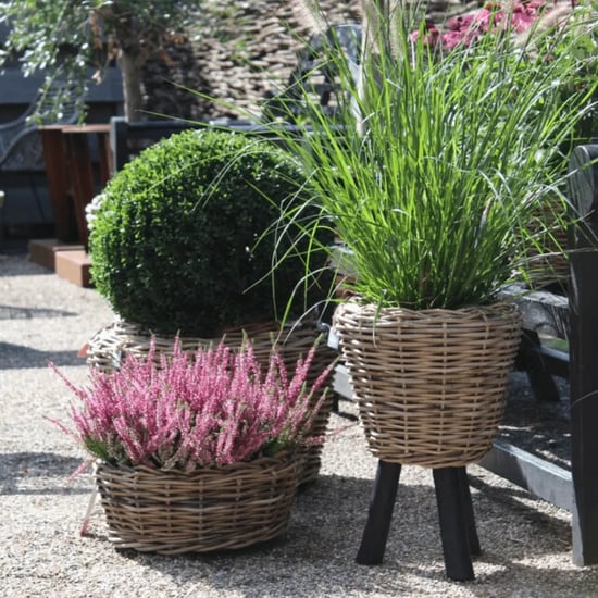 WDMT Grijze rotan plantenmand – Ø 45 x 47 cm – waterdichte binnenpot – grijs - Image 3