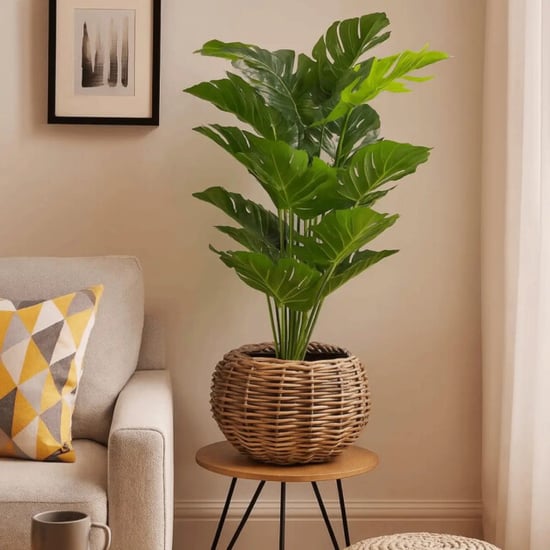 WDMT Bolvormige drypot rotan plantenmand – Ø 45 x 34 cm – waterdichte binnenpot – - Image 4