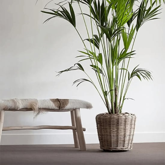 WDMT Grijze rotan plantenmand – Ø 45 x 47 cm – waterdichte binnenpot – grijs - Image 4