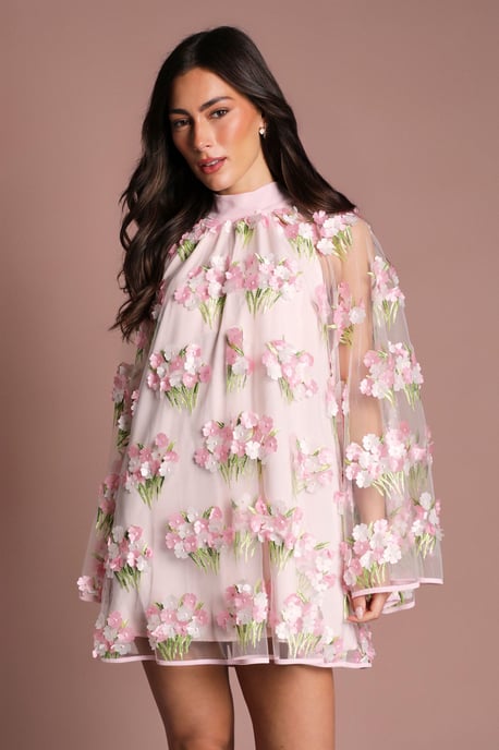 Coast Muse Embroidered Mesh Shift Dress - Image 4