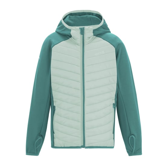 Regatta Andreson Hybride Gewatteerd Jasje voor Kinderen/Kinderen (Ivy mos/Ocean mist) - Image 1