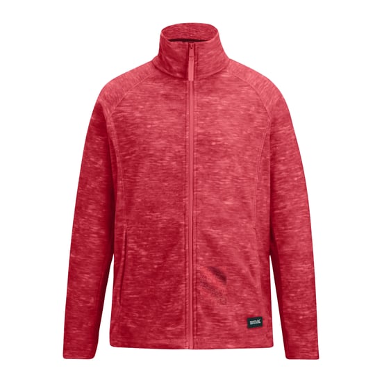 Regatta Dames/Dames Mayse Full Zip Fleecejack (Leisteen) - Image 1