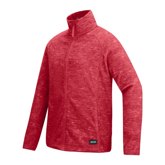 Regatta Dames/Dames Mayse Full Zip Fleecejack (Leisteen) - Image 3