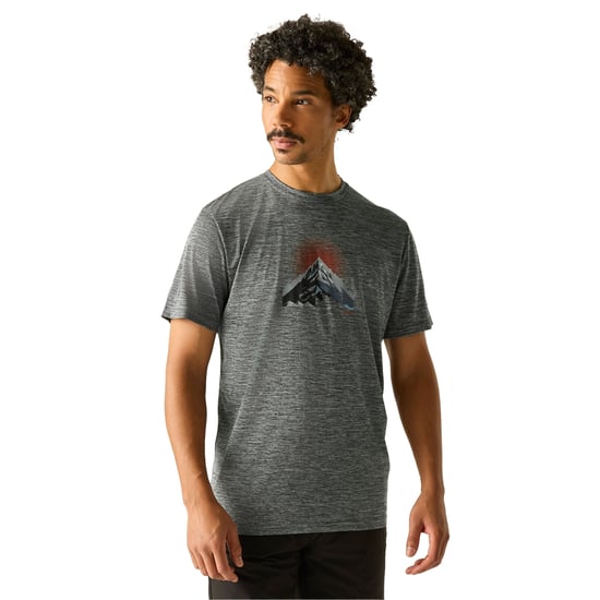 Regatta Mens Fingal Mountain Marl T-Shirt (Dark Storm) - Image 4