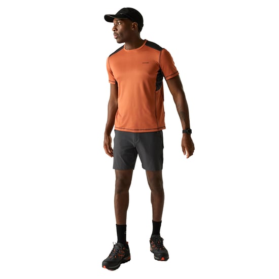Regatta Heren Virda T-Shirt (Baksteen/Zwart) - Image 5