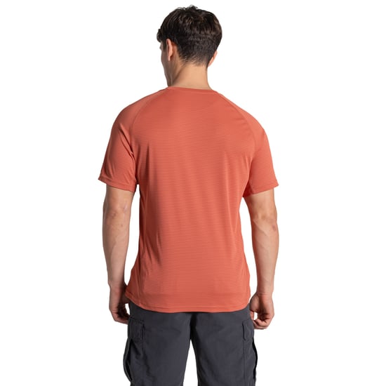 Craghoppers Heren Nosilife T-Shirt (Donkere Sahara) - Image 2