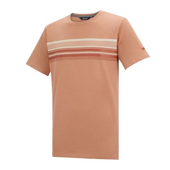 Regatta Heren Rendro T-Shirt (Italiaanse klei) - Image 3