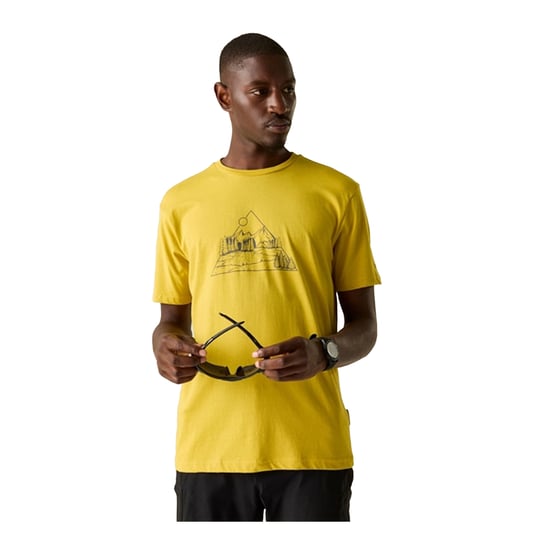 Dare 2B Mens Movement III Mountain T-Shirt (Oil Yellow) - Image 4
