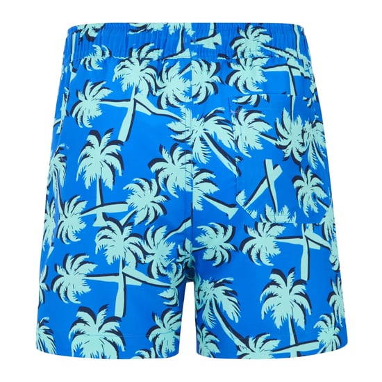Regatta Skander Palmboom Zwemshort Kinderen/Kinderen (Sonic blauw/IJsgroen) - Image 2