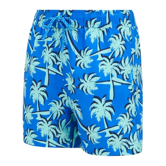 Regatta Skander Palmboom Zwemshort Kinderen/Kinderen (Sonic blauw/IJsgroen) - Image 3