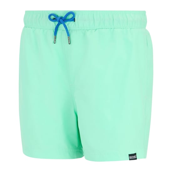 Regatta Mawson II badshorts för män (Isgrön/Sonic Blue) - Image 3