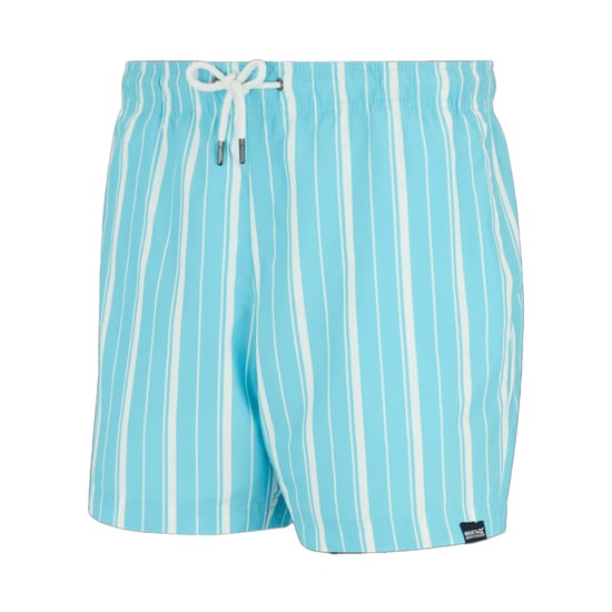 Regatta Mens Loras Stripe Swim Shorts (Nordic Blue/White) - Image 3