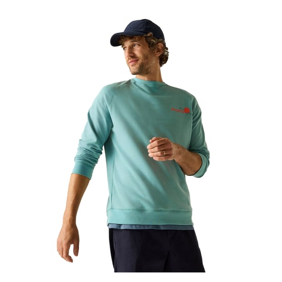 Regatta Sweatshirt med ryggtryck från Nithsdale för herrar (Arktisk grön) - Image 5