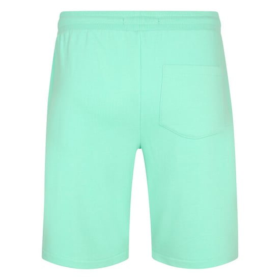 Petrol Industries Men short jogging - Image 2