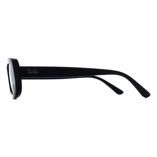 Ray-Ban Oval Womens Black Grey Gradient Polarized RB2221 - Image 3