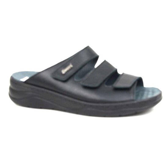 Stuppy 2830 - Image 1
