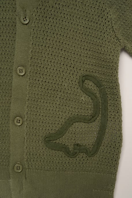 Dinosaur Embroidered True Knit Stripe Shirt and Shorts - Image 3