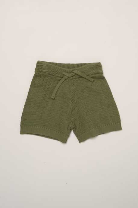 Dinosaur Embroidered True Knit Stripe Shirt and Shorts - Image 4